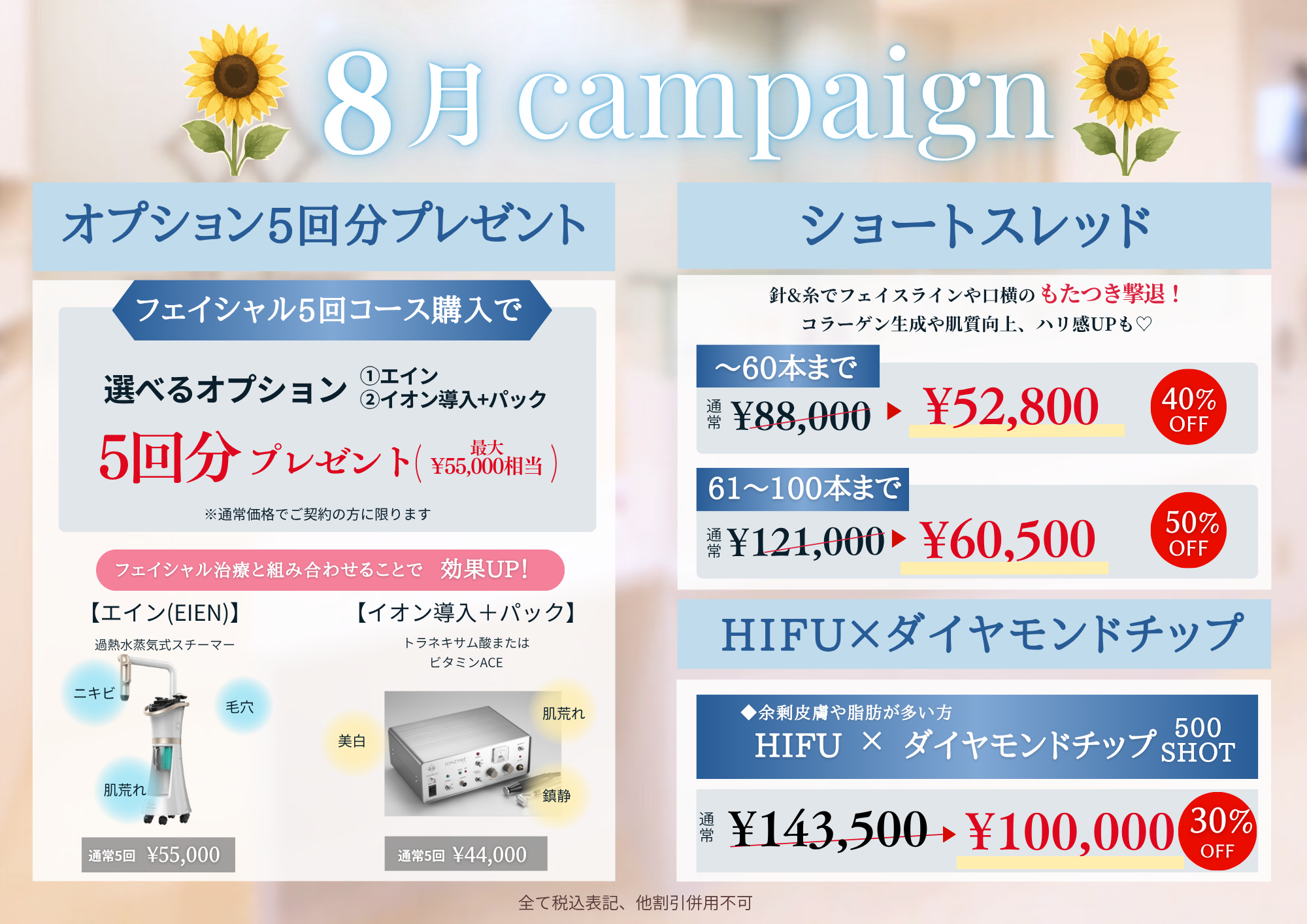 8月campaign